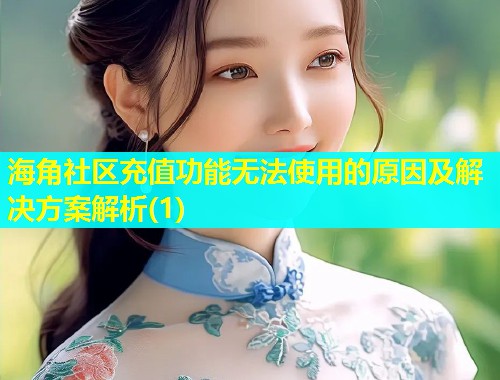 海角社区充值功能无法使用的原因及解决方案解析(1)  第2张