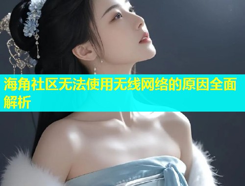 海角社区无法使用无线网络的原因全面解析  第1张