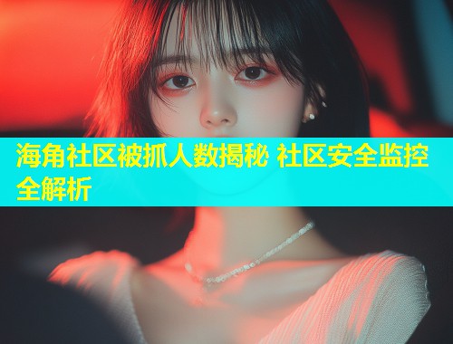 海角社区被抓人数揭秘 社区安全监控全解析  第2张