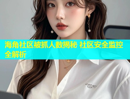 海角社区被抓人数揭秘 社区安全监控全解析  第1张