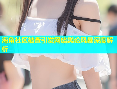 海角社区被查引发网络舆论风暴深度解析  第2张