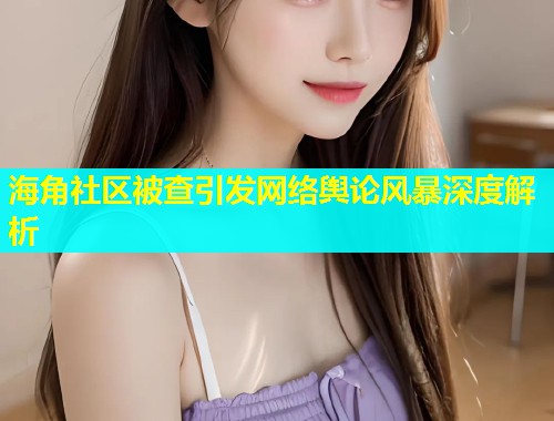 海角社区被查引发网络舆论风暴深度解析